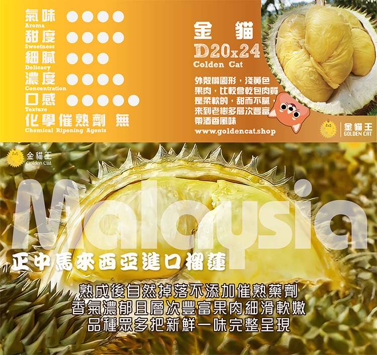 【馬來西亞】冷凍帶殼金貓王榴槤1A果1.6kg 冷凍榴槤 榴槤冰 榴槤肉 水果