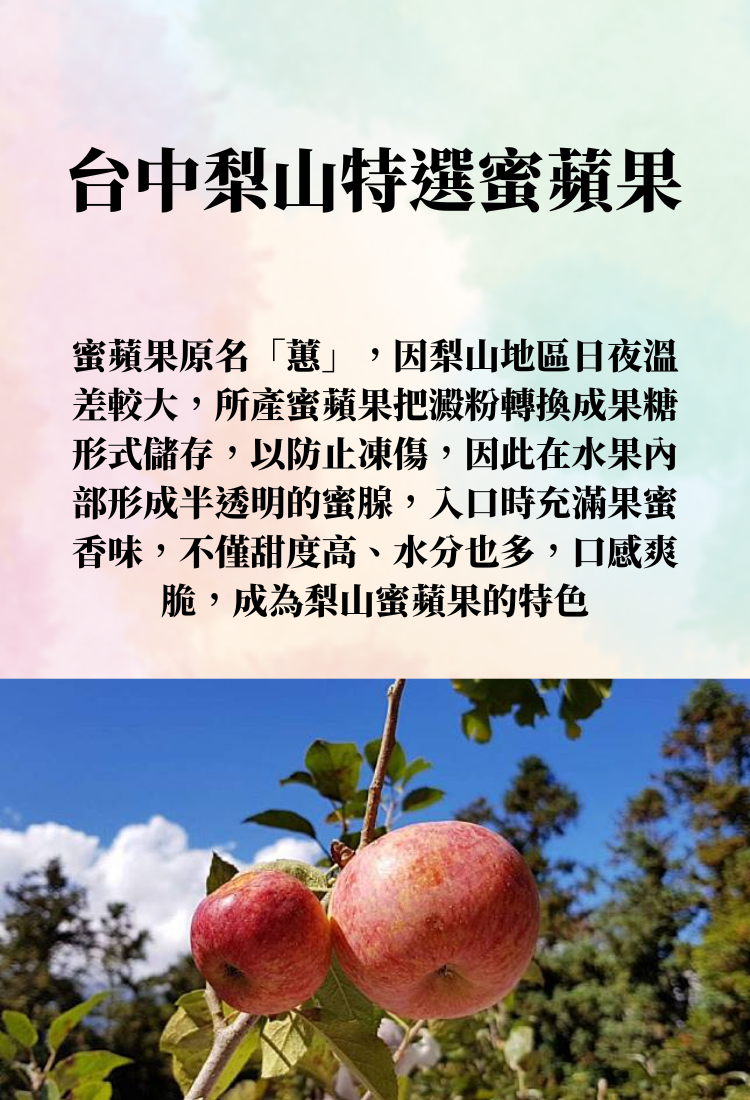【阿成水果】台中梨山特選蜜蘋果