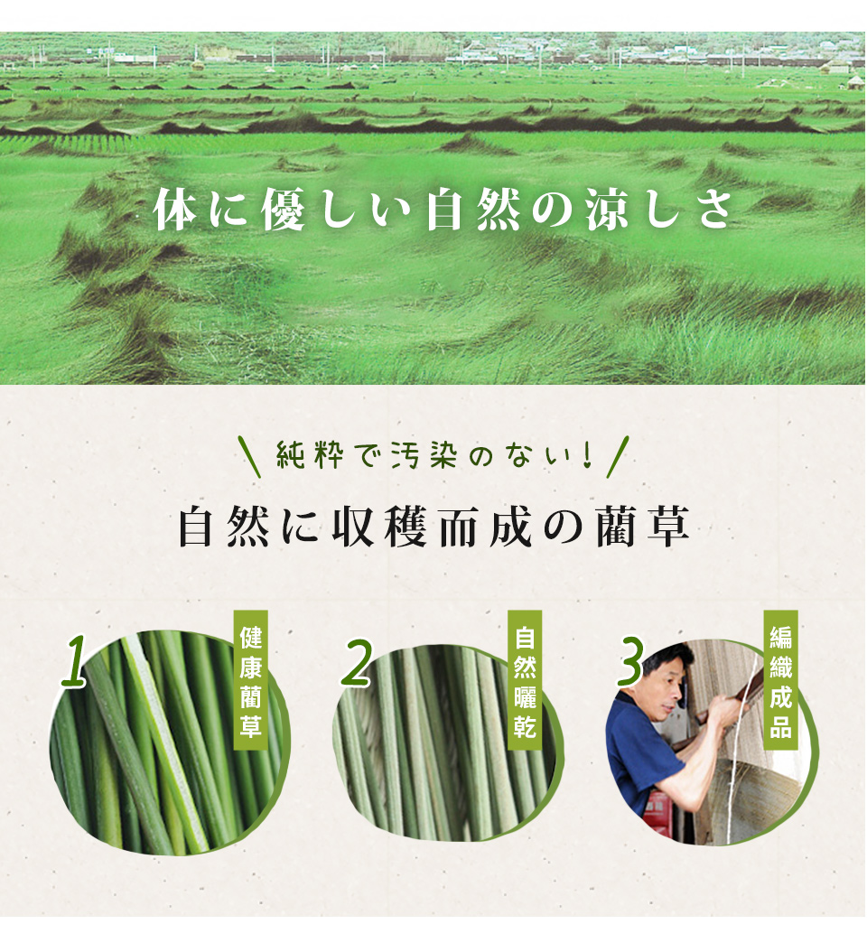日本熱銷天然藺草透氣涼墊 單人長蓆 