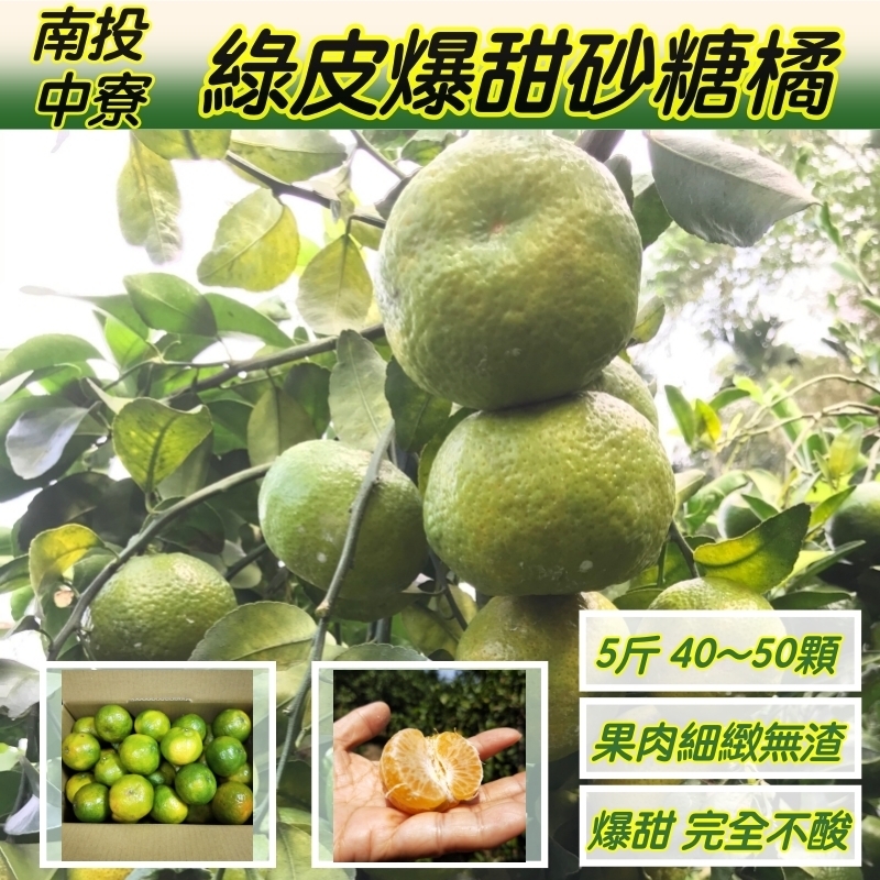 【歐吉商】安心迷你綠皮砂糖橘5台斤