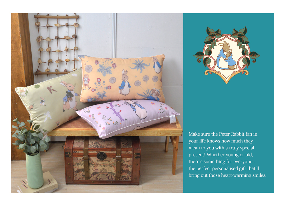 【PETER RABBIT】比得兔V&A博物館聯名抗菌枕 可水洗 台灣製造 枕頭