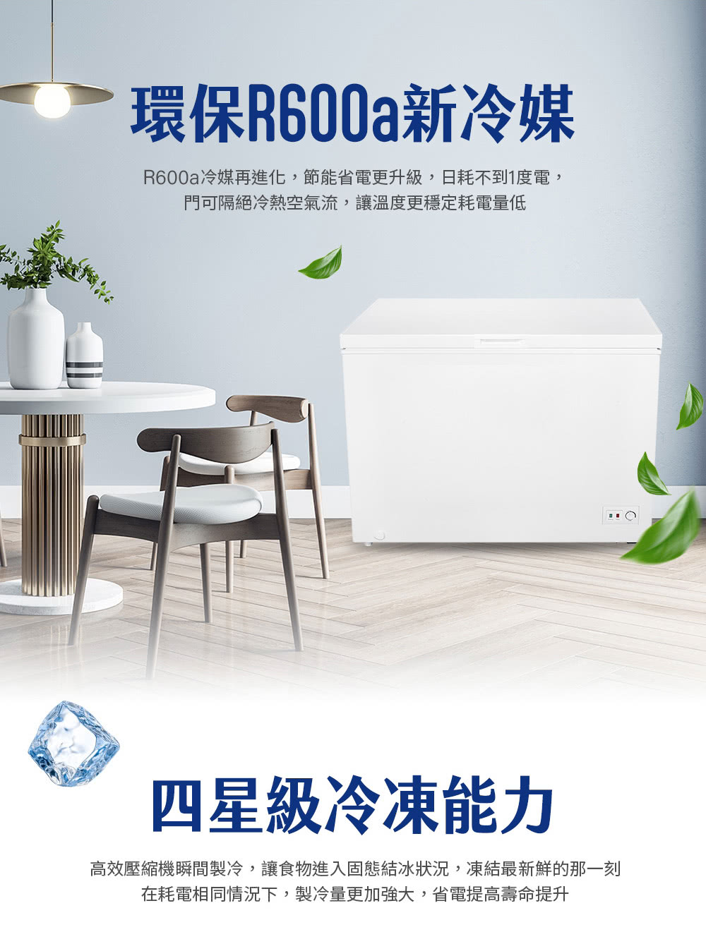 【TECO東元】300公升上掀式臥式冷凍櫃 含拆箱定位 RL3002W