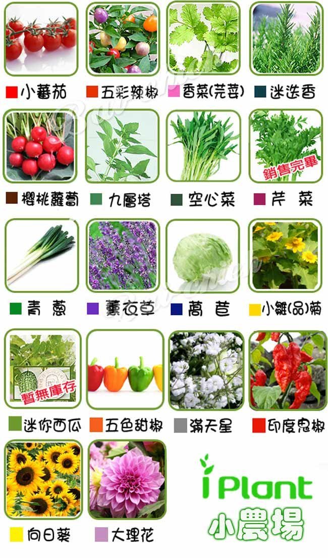 iPlant輕鬆種盆栽系列 20款植物可選 加贈同款種子一包