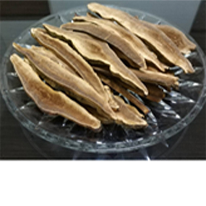 【亞源泉】野生赤靈芝 500g  