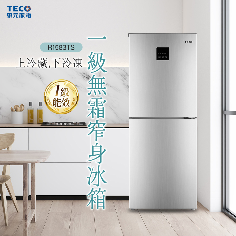 【TECO 東元】158公升定頻下冷凍右開雙門冰箱 含拆箱定位 R1583TS