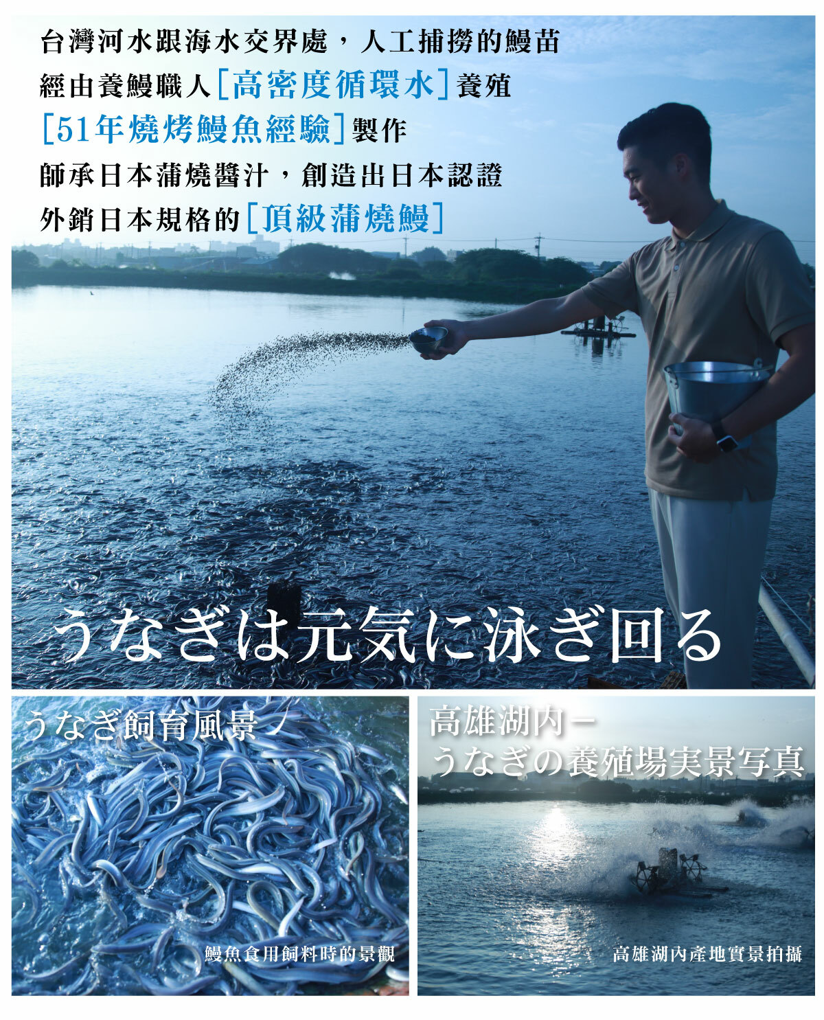 【屏榮坊】鰻滿元氣湯(500g/包) 日本帝王級鰻魚頭骨熬製而成