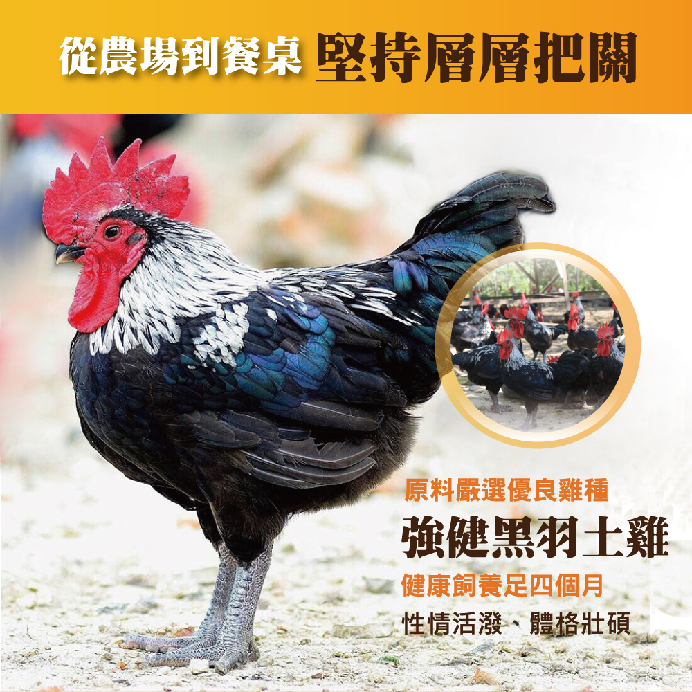 【京紅】冷凍滴雞精無外箱組(60ML/包) 選黑羽雞製/低鈉去油脂/無添加物