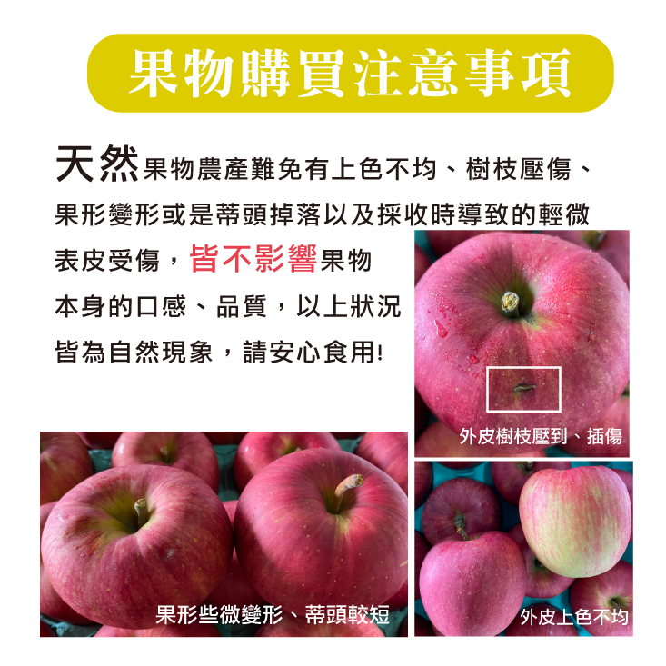 智利富士蘋果6粒禮盒1kg 智利蘋果 水果禮盒 蘋果 大顆蘋果