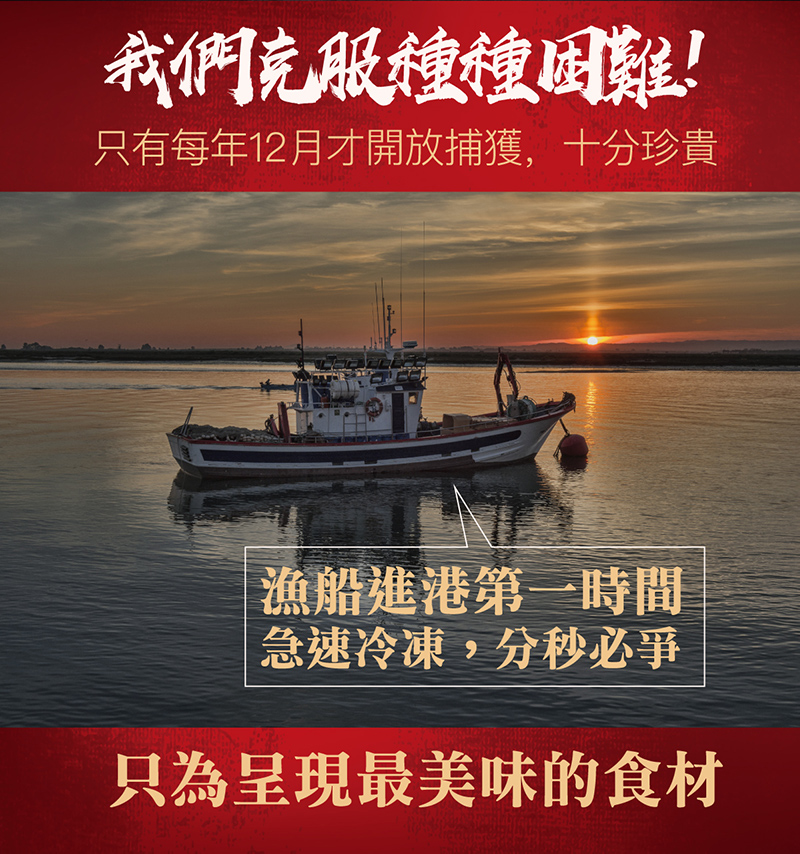 【海濤客】小琉球必買伴手禮 頂級烏金干貝醬