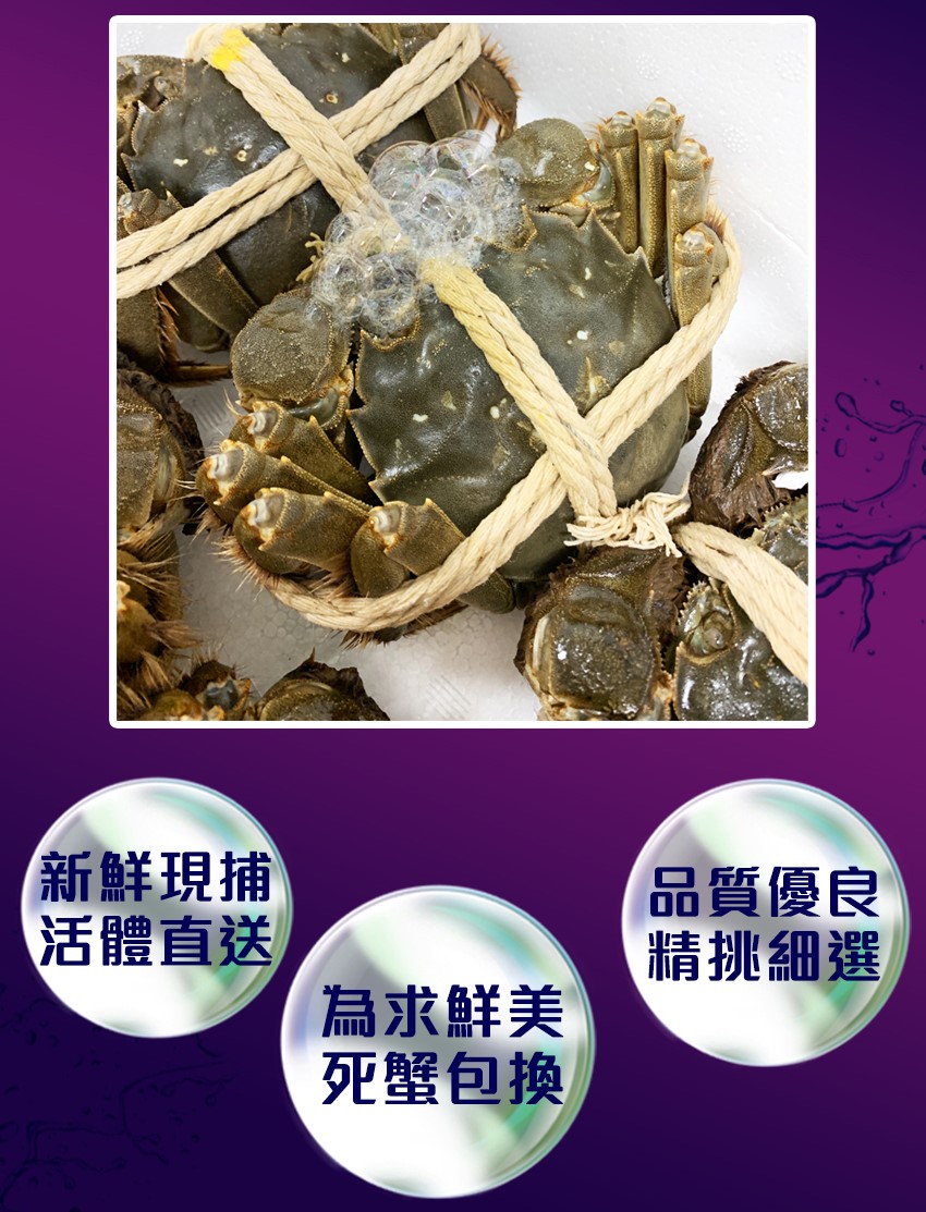 【真食材本舖・RealShop】正宗江蘇紅膏大閘蟹A級 5~5.6兩/隻
