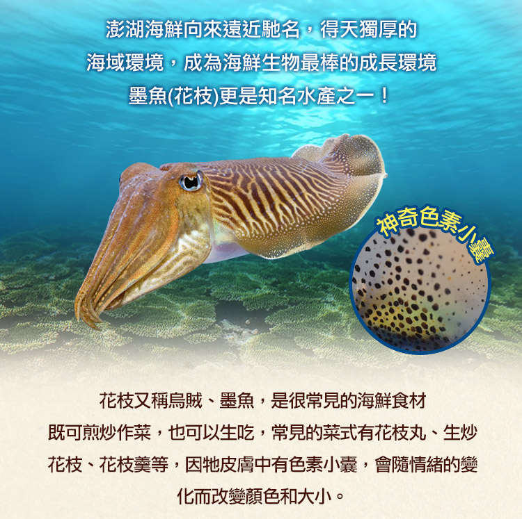 【享吃美味】原味牛肉丸250g/包 (大組數再贈花枝丸)