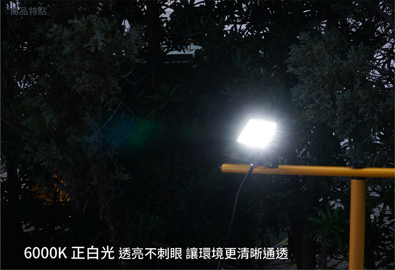 【太星電工】LED防水投射燈(全電壓) 30W-200W 照明燈 展示燈