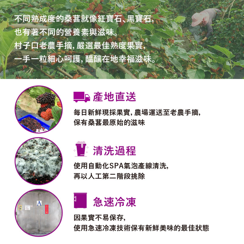 【老農手摘】桑葚濃縮果粒汁600g(原味／鳳梨／金桔／百香果／檸檬)果汁 桑葚汁