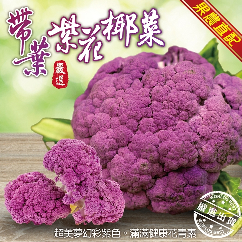 鮮採紫色整朵花椰菜 生活市集